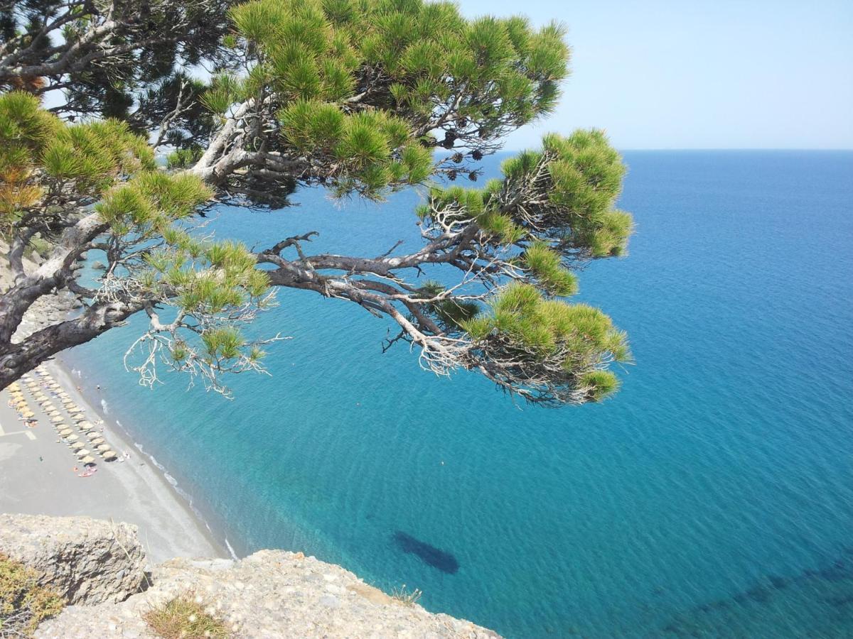 Stefanos Apartments Agia Fotia  ภายนอก รูปภาพ